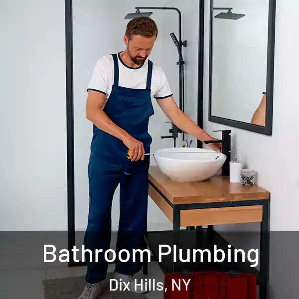  Bathroom Plumbing Dix Hills, NY