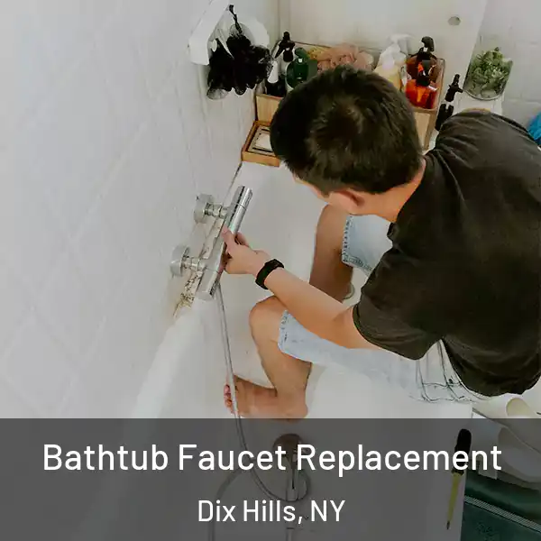  Bathtub Faucet Replacement Dix Hills, NY