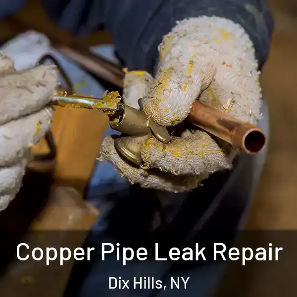  Copper Pipe Leak Repair Dix Hills, NY