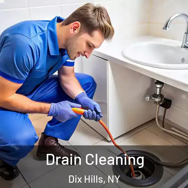  Drain Cleaning Dix Hills, NY