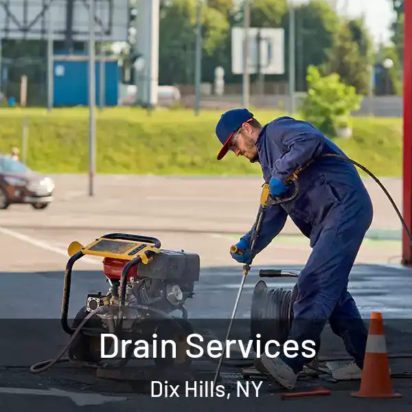  Drain Services Dix Hills, NY