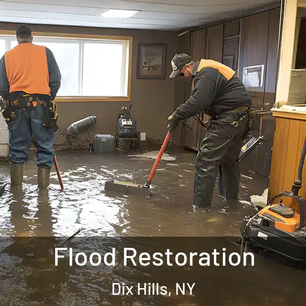  Flood Restoration Dix Hills, NY