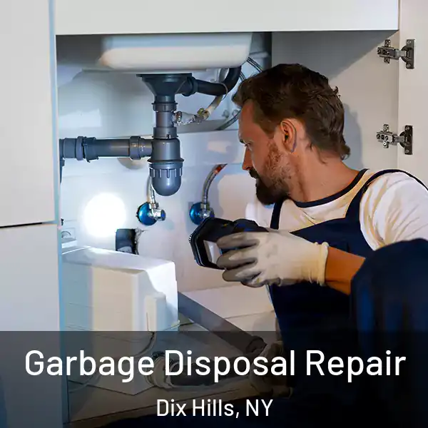  Garbage Disposal Repair Dix Hills, NY