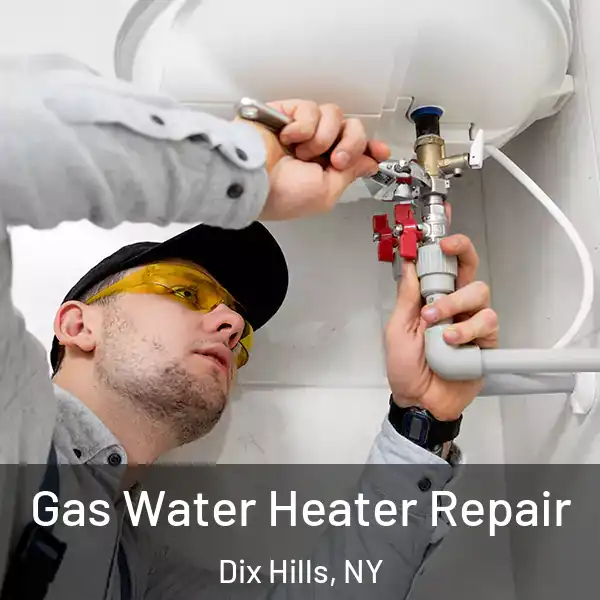  Gas Water Heater Repair Dix Hills, NY