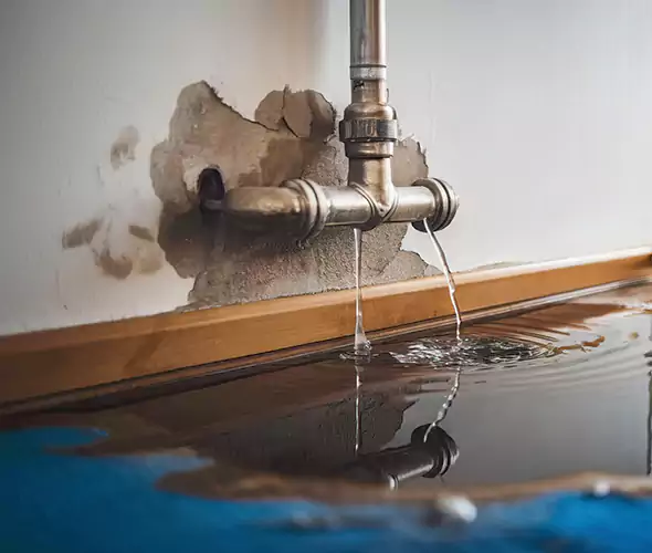 Professional Water Damage Restoration Experts in Dix Hills, NY — Fast, Reliable & Certified