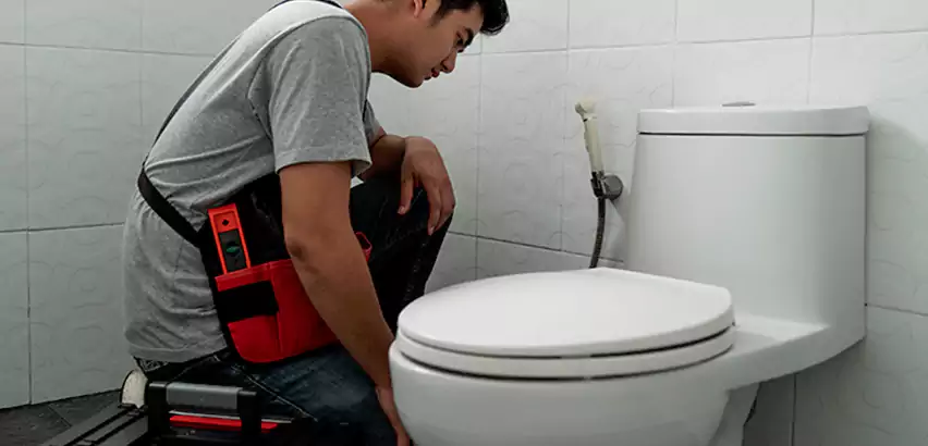 Toilet Repair in Dix Hills