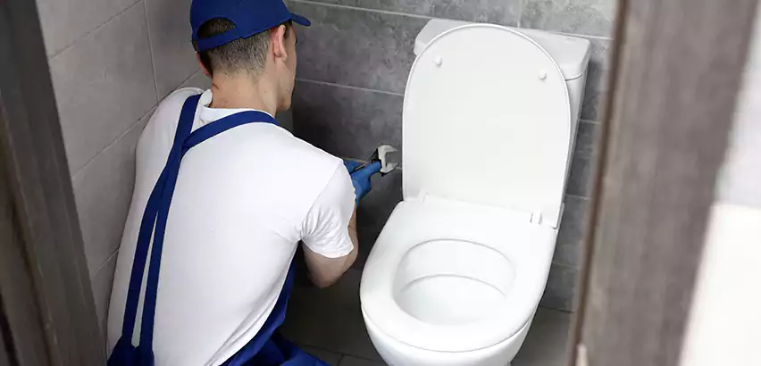 Toilet Lid Replacement in Dix Hills