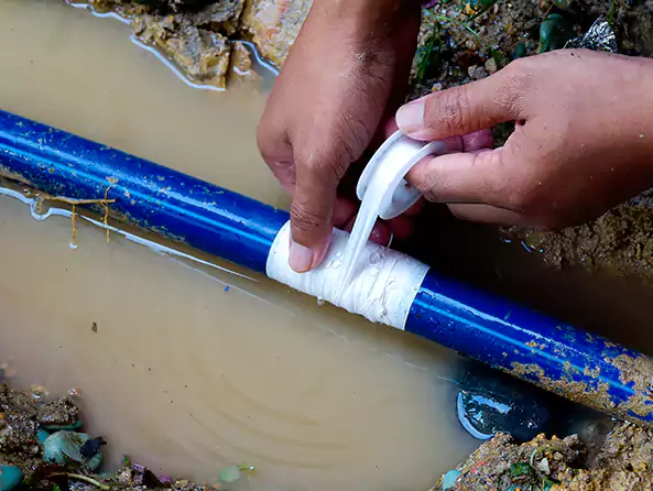  Why Choose Dix Hills Plumbing Pro for Leak Detection in Dix Hills, NY?]