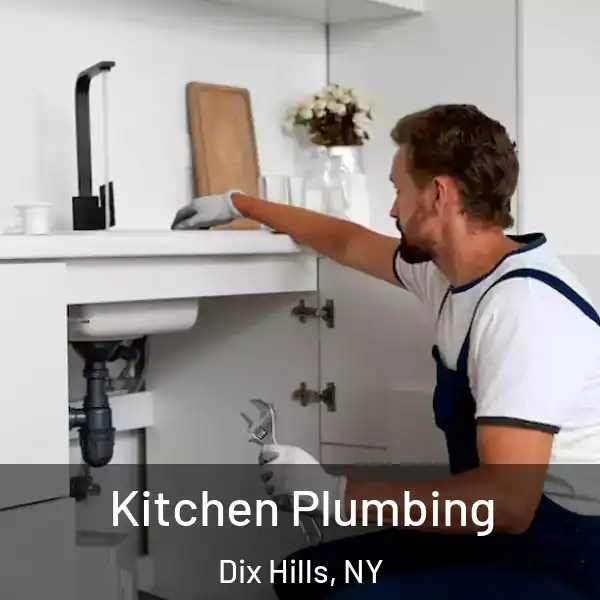  Kitchen Plumbing Dix Hills, NY