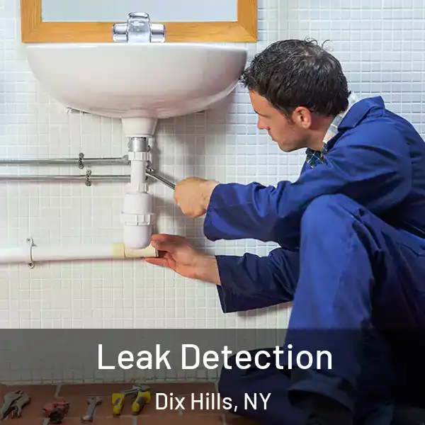  Leak Detection Dix Hills, NY