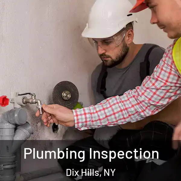  Plumbing Inspection Dix Hills, NY