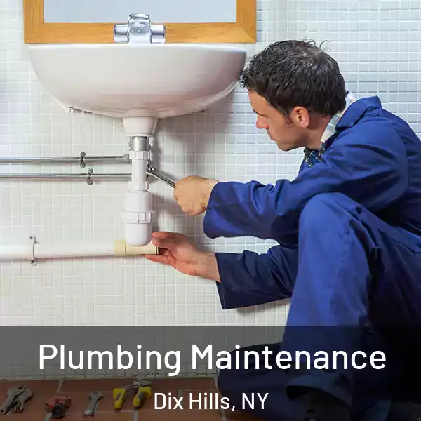  Plumbing Maintenance Dix Hills, NY