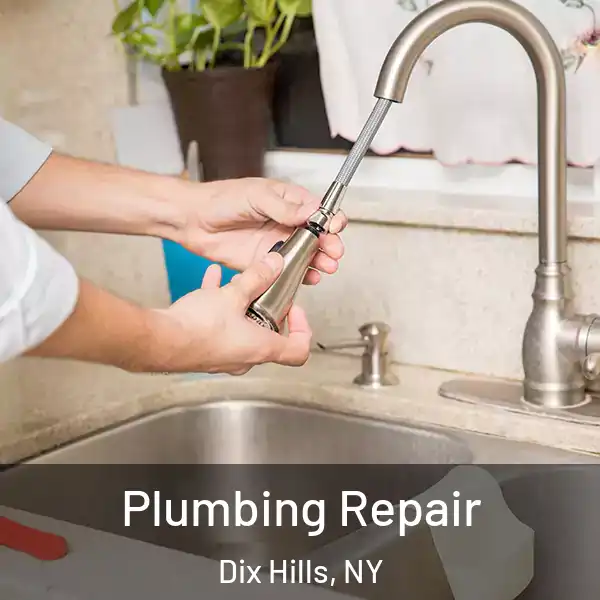  Plumbing Repair Dix Hills, NY