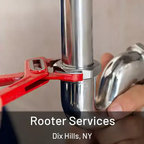  Rooter Services Dix Hills, NY
