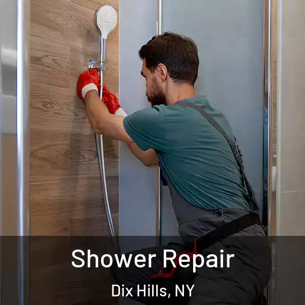  Shower Repair Dix Hills, NY
