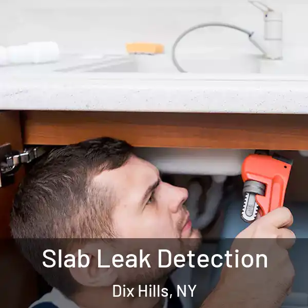  Slab Leak Detection Dix Hills, NY