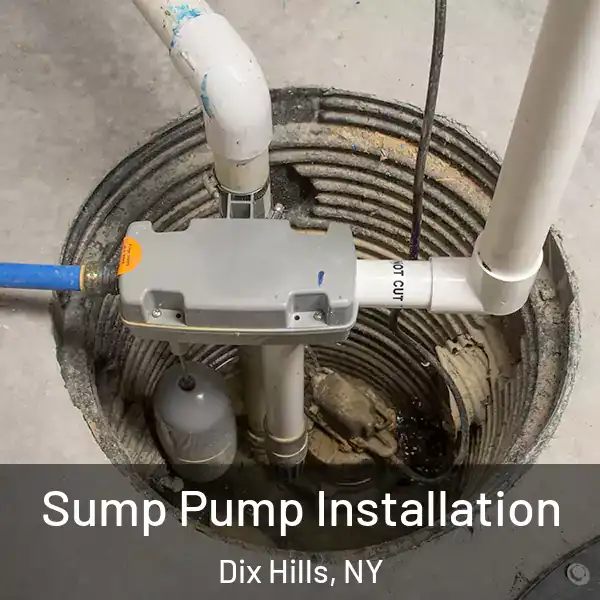  Sump Pump Installation Dix Hills, NY