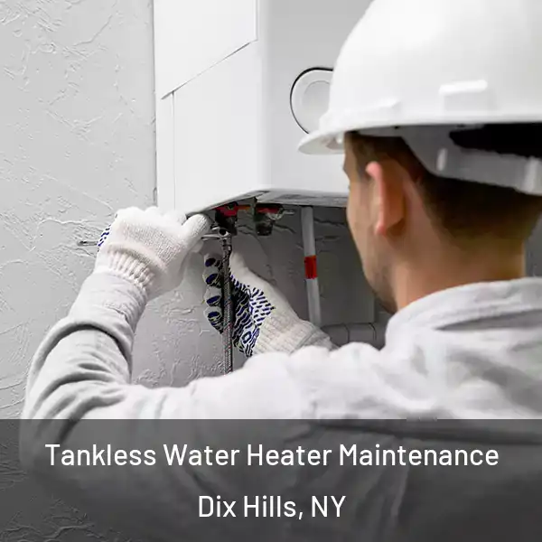  Tankless Water Heater Maintenance Dix Hills, NY