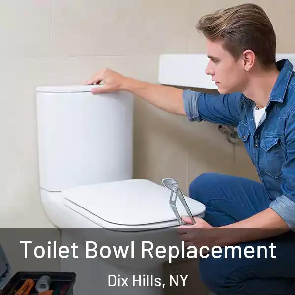  Toilet Bowl Replacement Dix Hills, NY