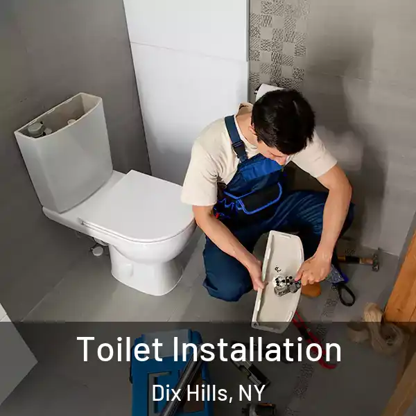  Toilet Installation Dix Hills, NY