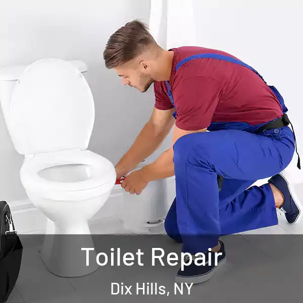  Toilet Repair Dix Hills, NY