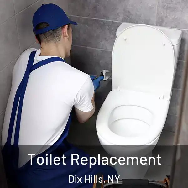  Toilet Replacement Dix Hills, NY