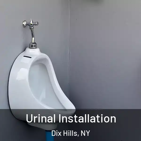  Urinal Installation Dix Hills, NY