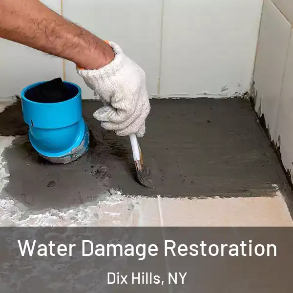 Water Damage Restoration Dix Hills, NY