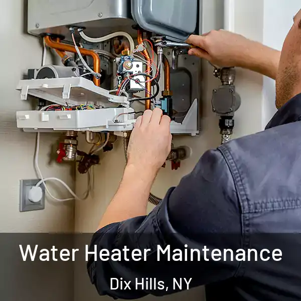  Water Heater Maintenance Dix Hills, NY