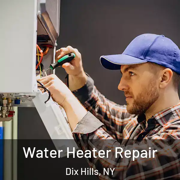  Water Heater Repair Dix Hills, NY