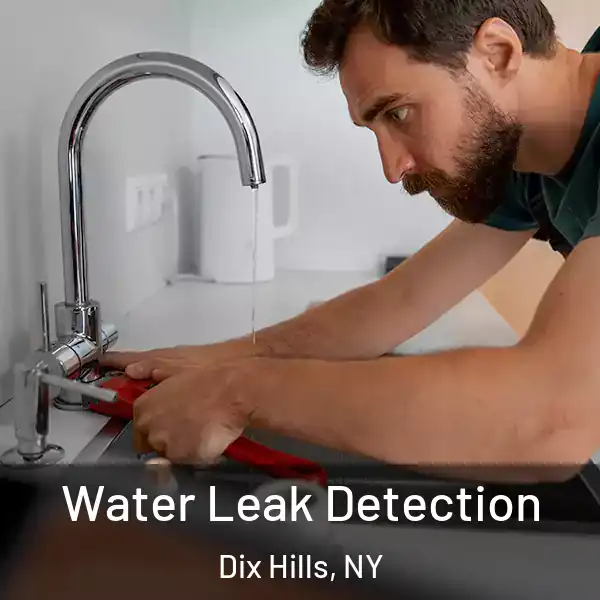  Water Leak Detection Dix Hills, NY